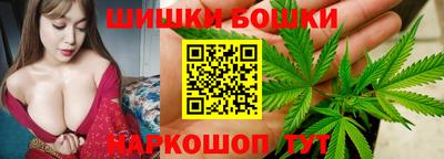 шишки Изобильный