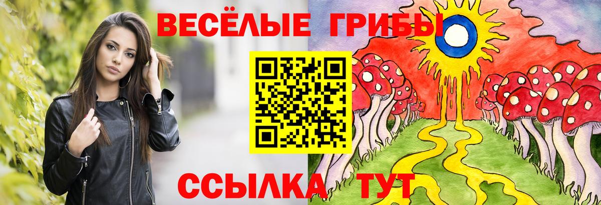 Галлюциногенные грибы GOLDEN TEACHER Чайковский