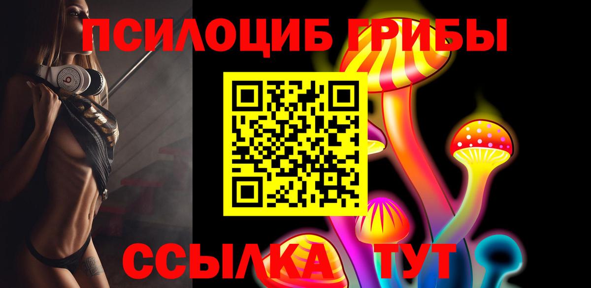 Чайковский  сколько стоит  Псилоцибиновые грибы мицелий  Вход с VPN  Галлюциногенные грибы Magic Shrooms 